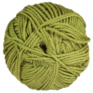 Scheepjes Chunky Monkey Yarn - 1065 Sage