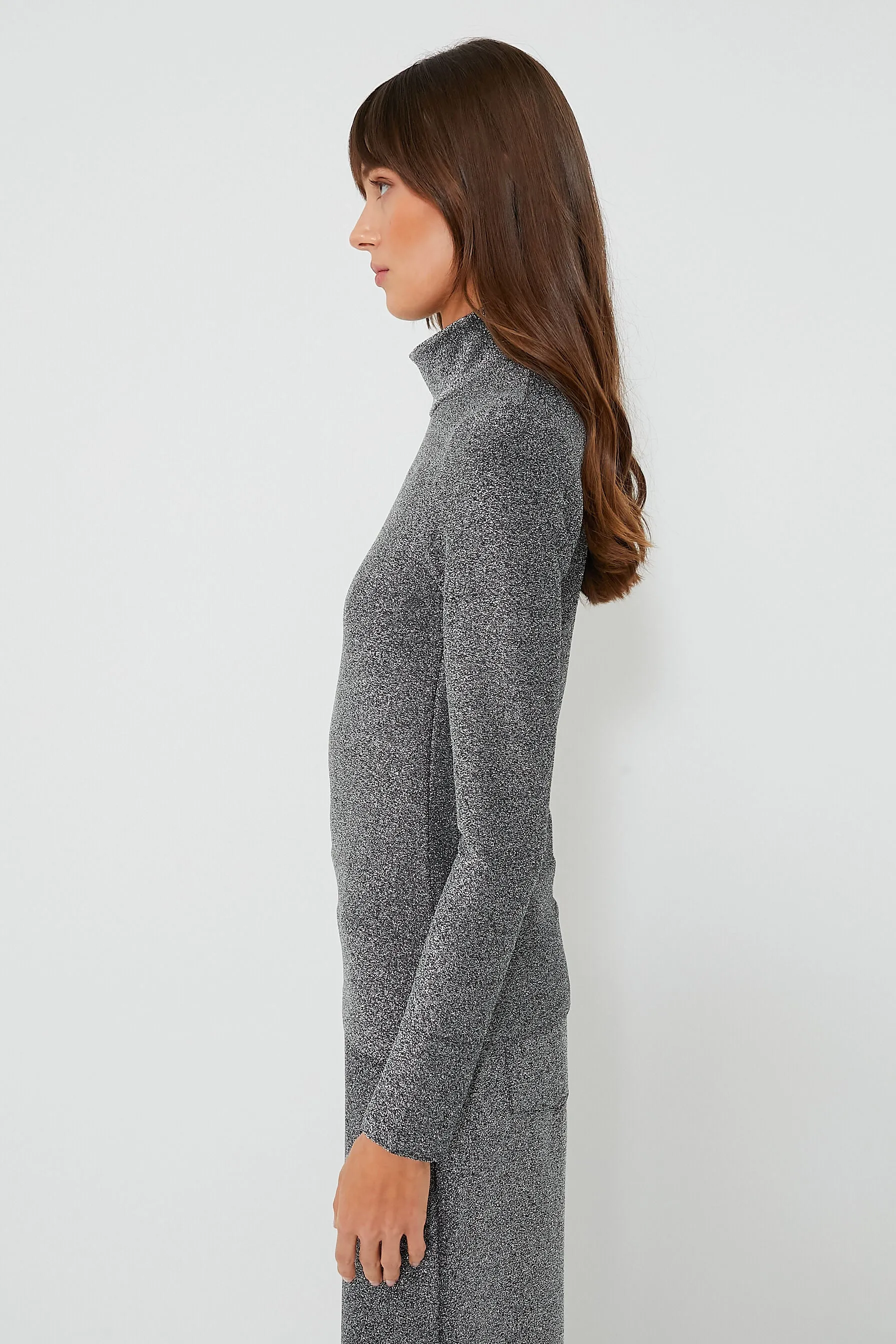 Shimmer Gray Jacka Turtleneck